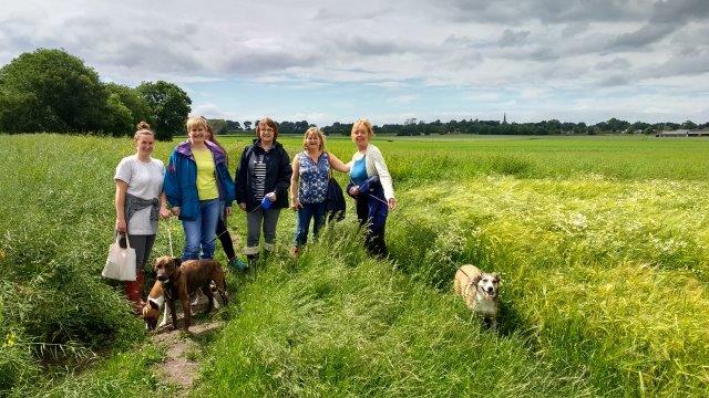 Walking Group